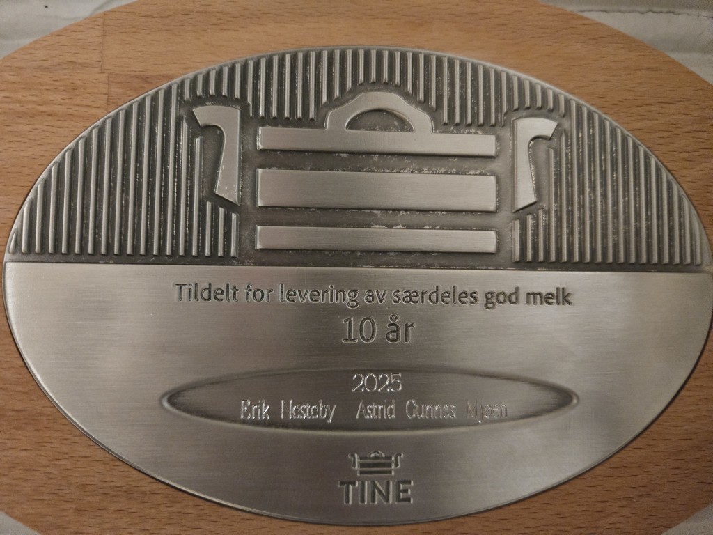 10-års plakett fra TINE for levering av særdeles god mjølk sammenhengende i 10 år.🐄🥛 
Dette er en milepæl vi er stolte av. Bak den ligger mange timer og år med arbeid på gården – tidlige morgener, sene kvelder, kalvinger, slått, fjøsarbeid og alt det andre som følger med livet som mjølkebonde.
Vi er takknemlige for å få drive med dette hver dag, og for alle som velger norsk mjølk (og mat), både gjennom Tine og Gårdsmjølka vi selger selv 🙂 
Takk for tilliten! 😍