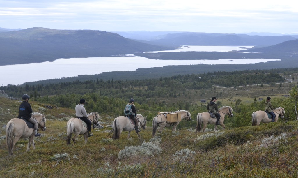 Langtur i fjellet bak gården