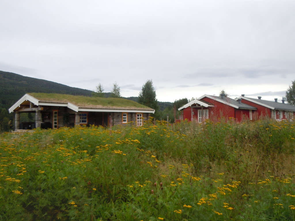 Vår nye hytte til venstre og motellet til høyre gir til sammen mange overnattingsplasser