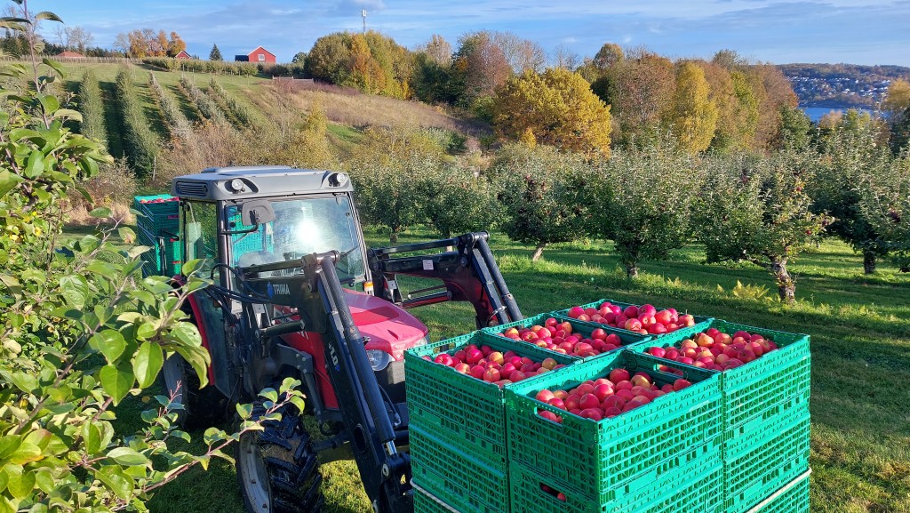 Rød traktor til røde epler.