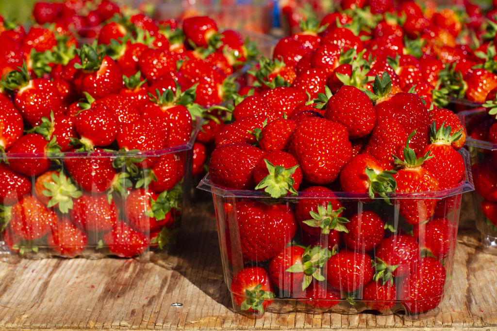 Vi har jordbær både på friland og tunell. du kan derfor kjøpe jordbær hos oss frå juni til september
