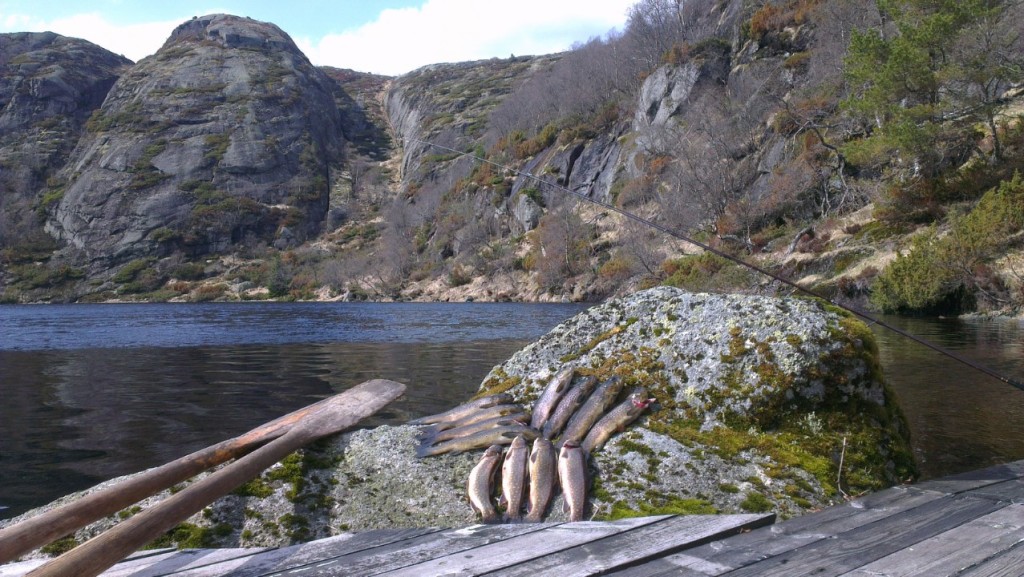 Fiskelykke
