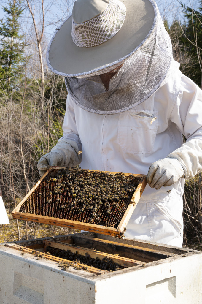 Det har vært honningproduksjon på gården siden 2003.