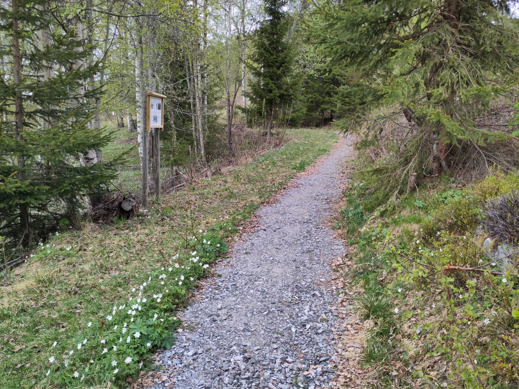 Krigsminnestien er en fin rusletur og lett å gå. Her kan du nyte idyllen i skogen, se på utsikten og lese på infotavlene om å leve som okkupert på Granum og om enkeltpersoners innsats under krigen. Vi har fått støtte fra Riksantikvaren via Fylkeskommunen til å fortelle om de lokale hendelsene på Granum under 2. verdenskrig og om nyansene i krigens historie.