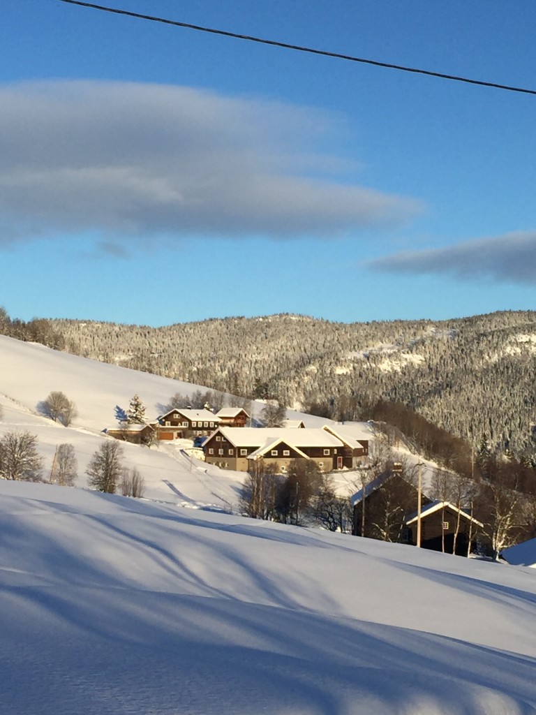 Garden Hamarsbøen i Kvisla