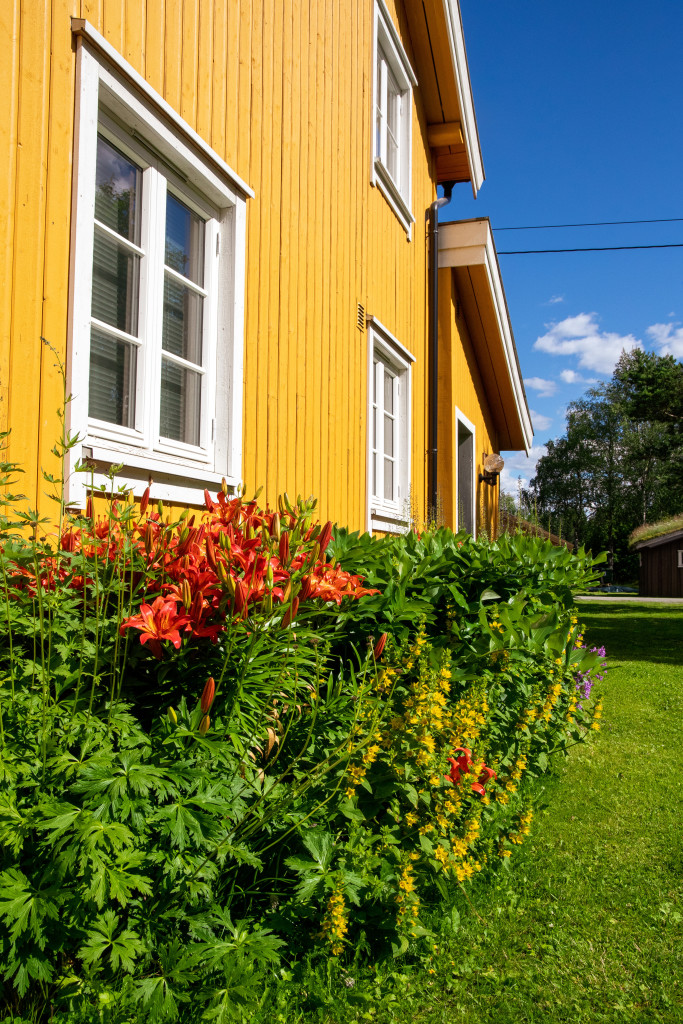 Full blomstring utenfor resepsjonen