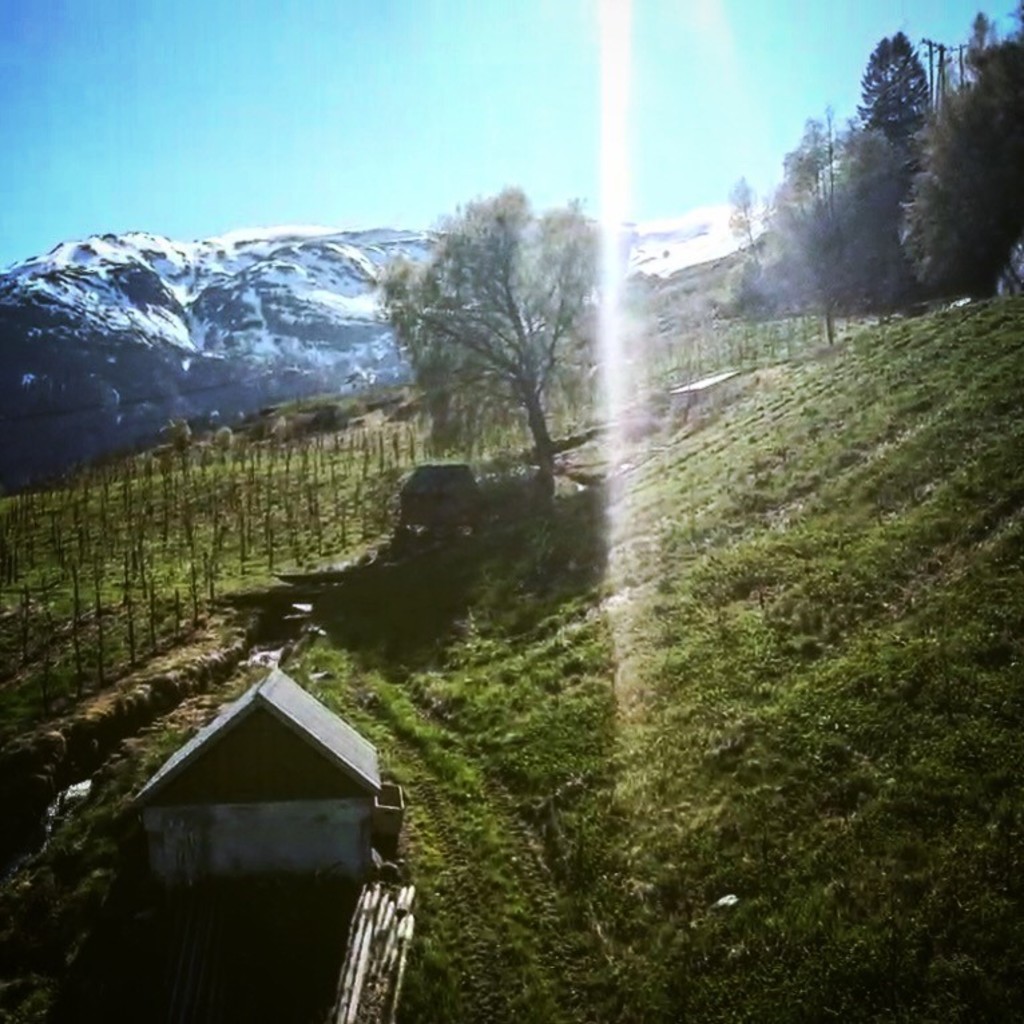 Bruhaug - ein del av garden