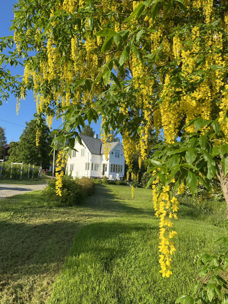 Velkommen til Bjørklund Gård