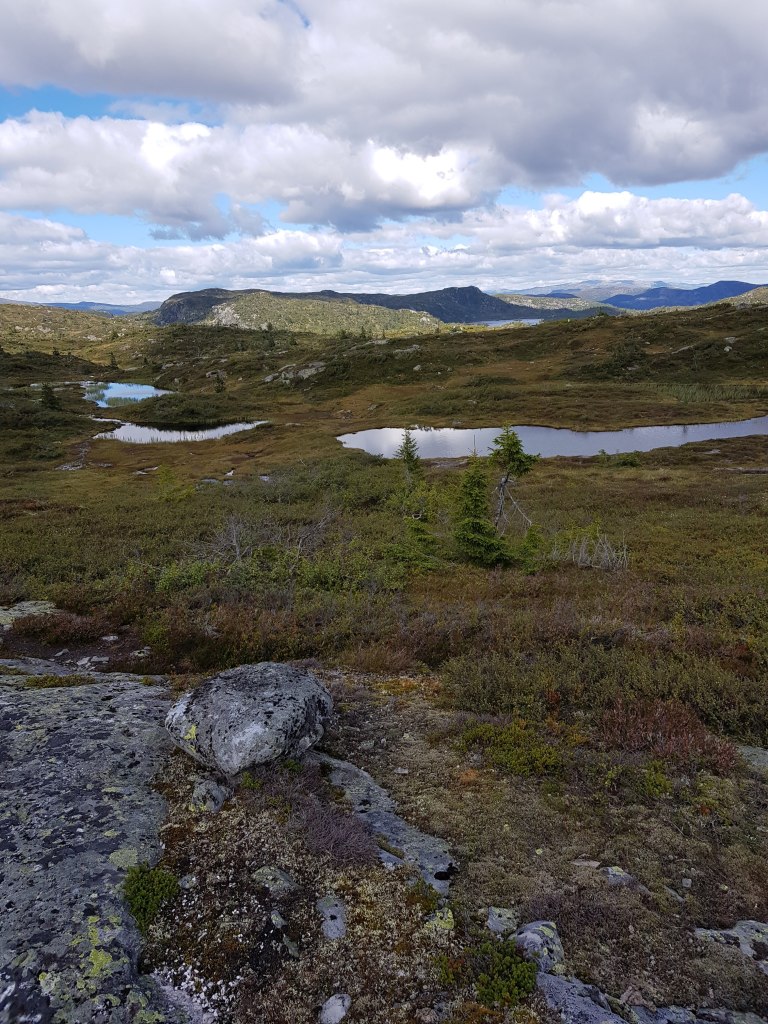 Nydelig på fjellet på sommeren