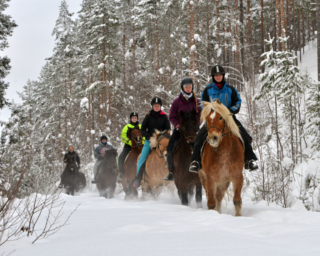 Vinterridning i Heidal