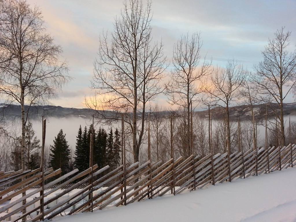 Velkommen til Hallingdal Lokalmatsenter og den fine utsikten vår