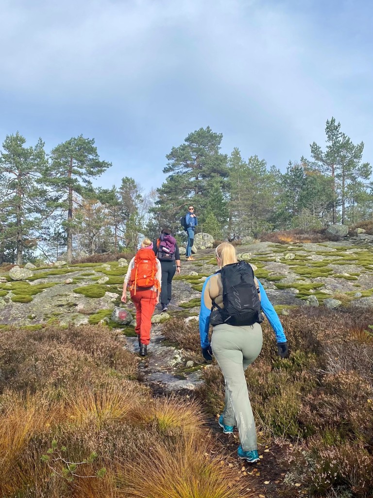 Gården er et nydelig utgangspunkt for turer i skog og på vann.
