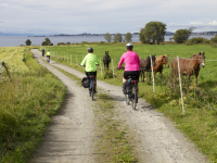 Austrått Agroturisme