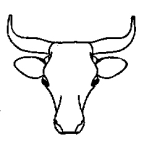 Logo til Nordigard Bjørge