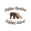 Oddan alpakka