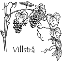 Villstrå Vinmakeri