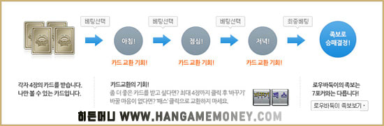 바둑이 게임