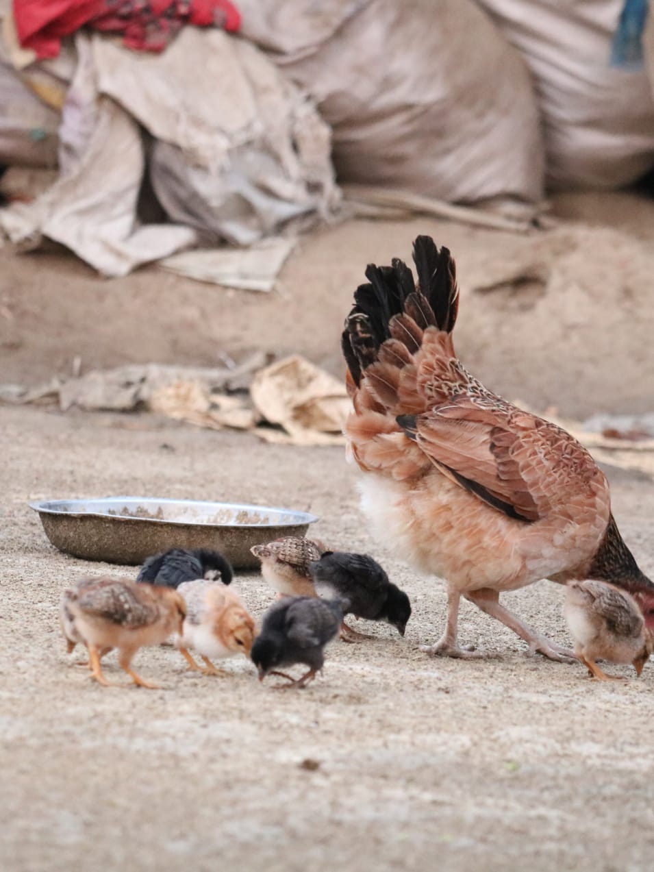 image-Cerpen — Cukupkanlah