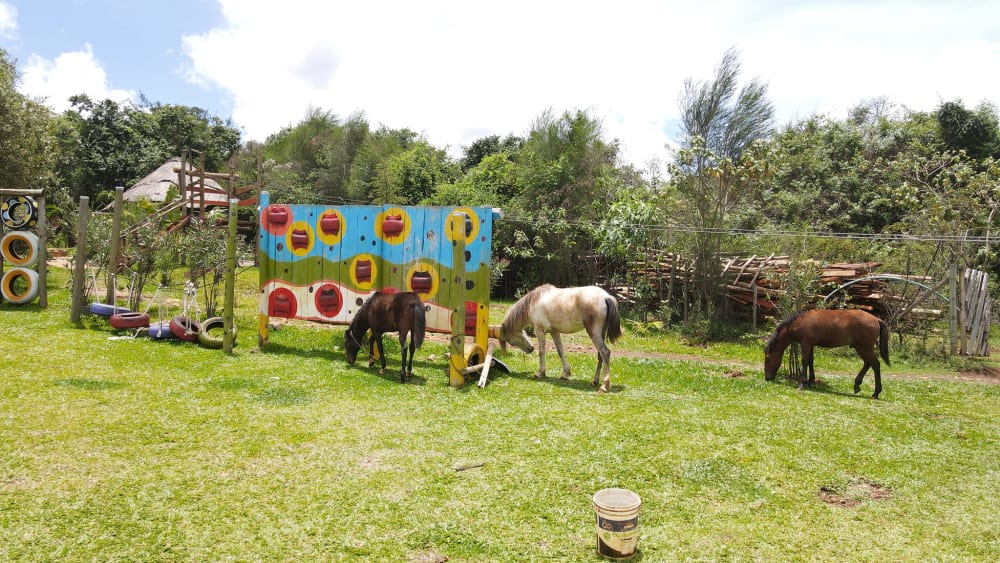 1 bedroom Commercial for rent in Kapseret, opposite Eldoret International Airport