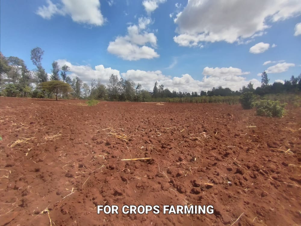 Land for sale in Kenol-Maragua highway