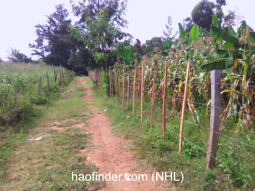 Land for sale in Bungoma-Kibabii University