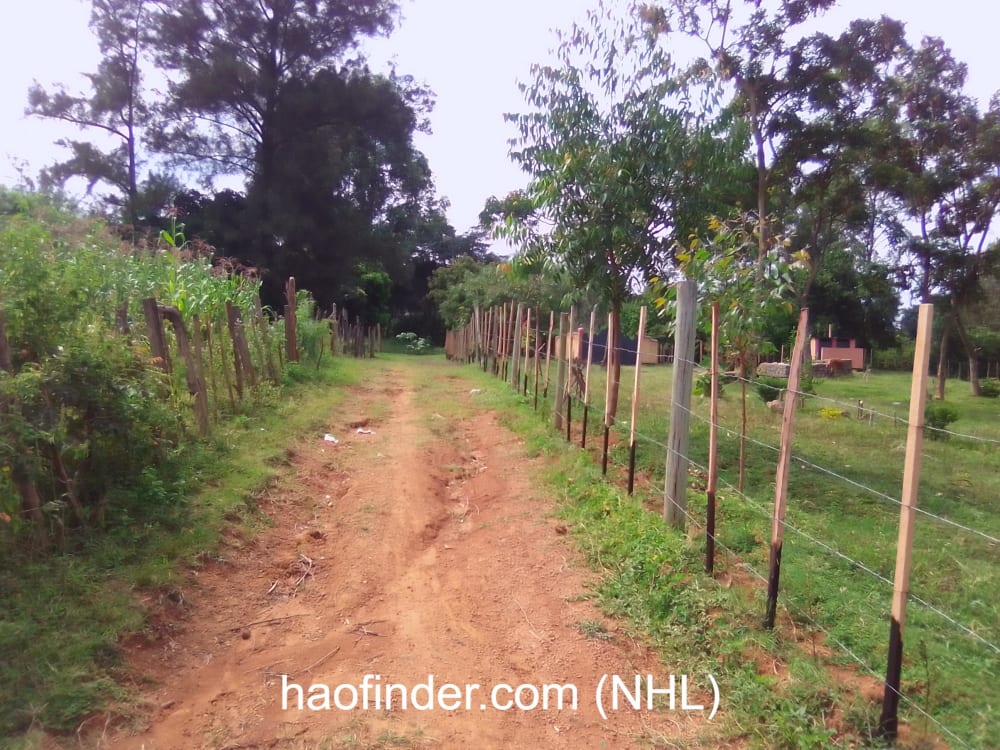 Land for sale in Bungoma-Kibabii University