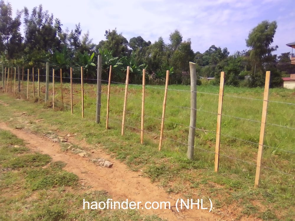Land for sale in Bungoma-Kibabii University
