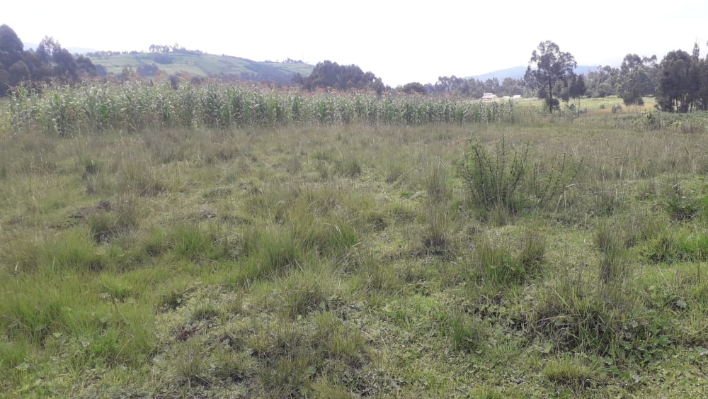 Land for sale in Miharati near Munyu Primary School