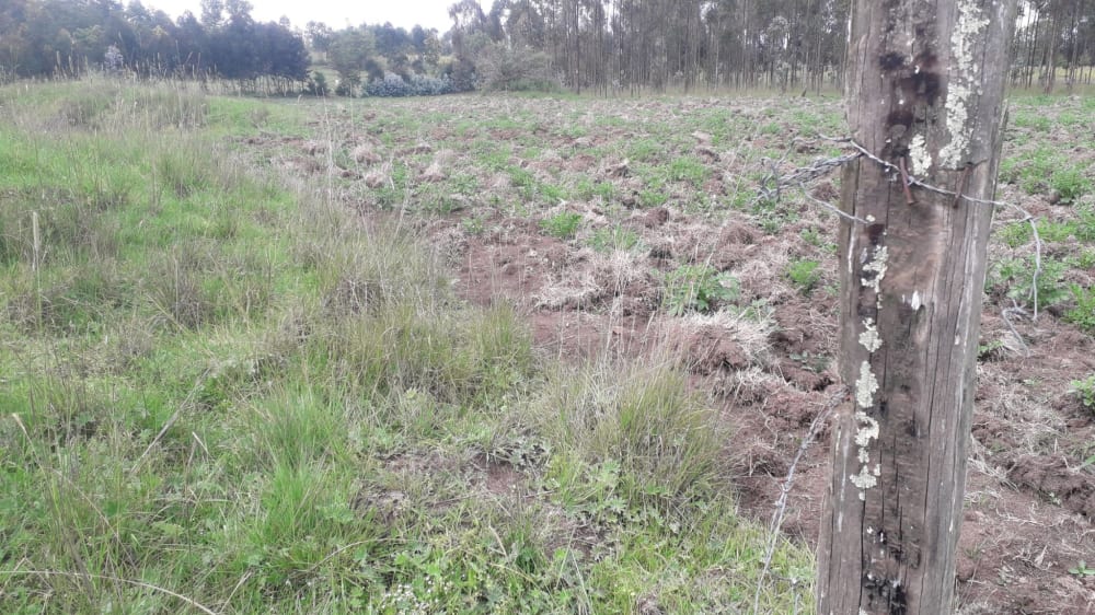 Land for sale in Miharati near Munyu Primary School