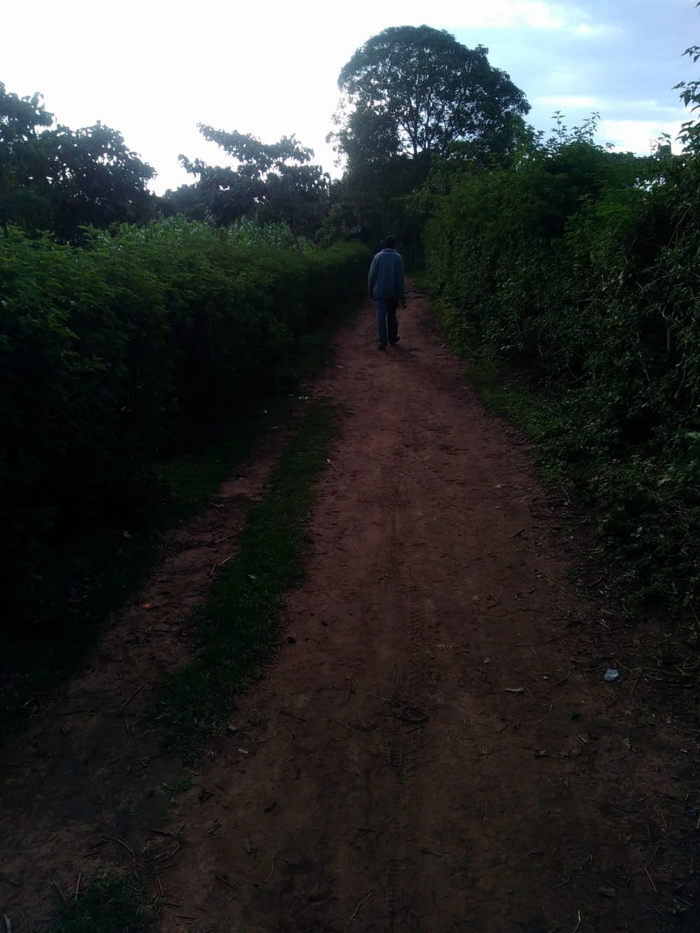 Land for sale in Kitale - Eldoret Road