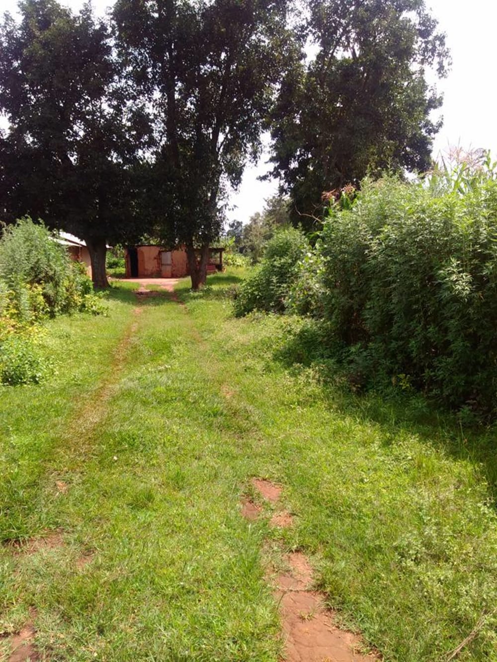 Land for sale in Kitale