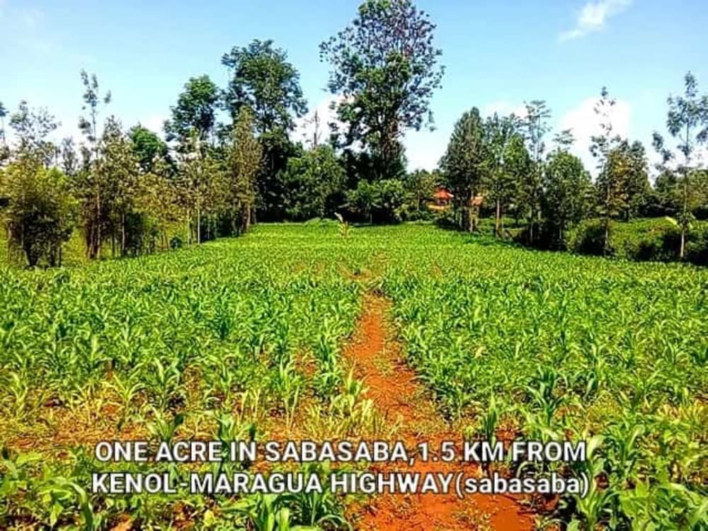 Land for sale in 1.5 Km from the Kenol-Sabasaba highway