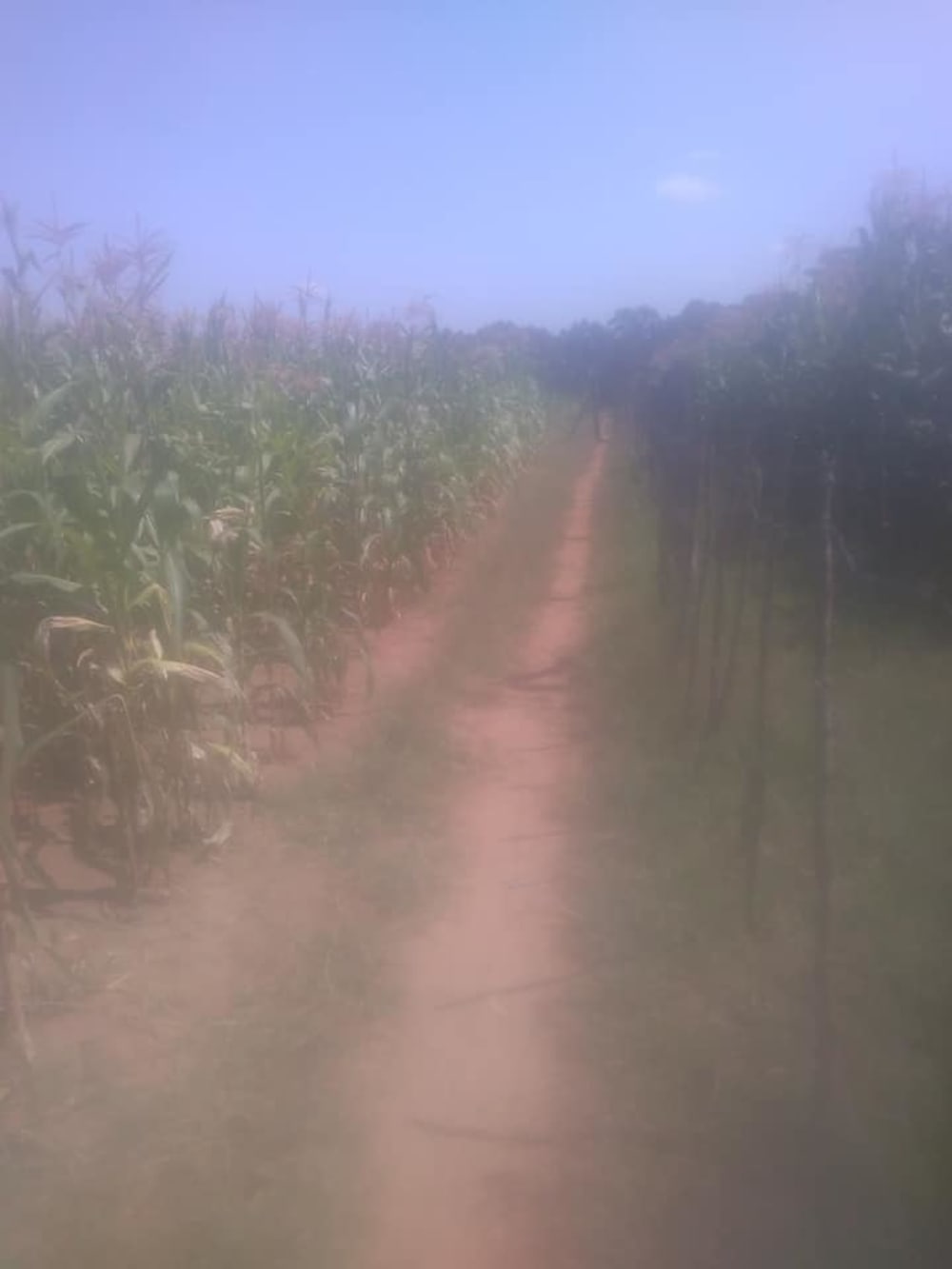 Land for sale in Toro farm, Kitale