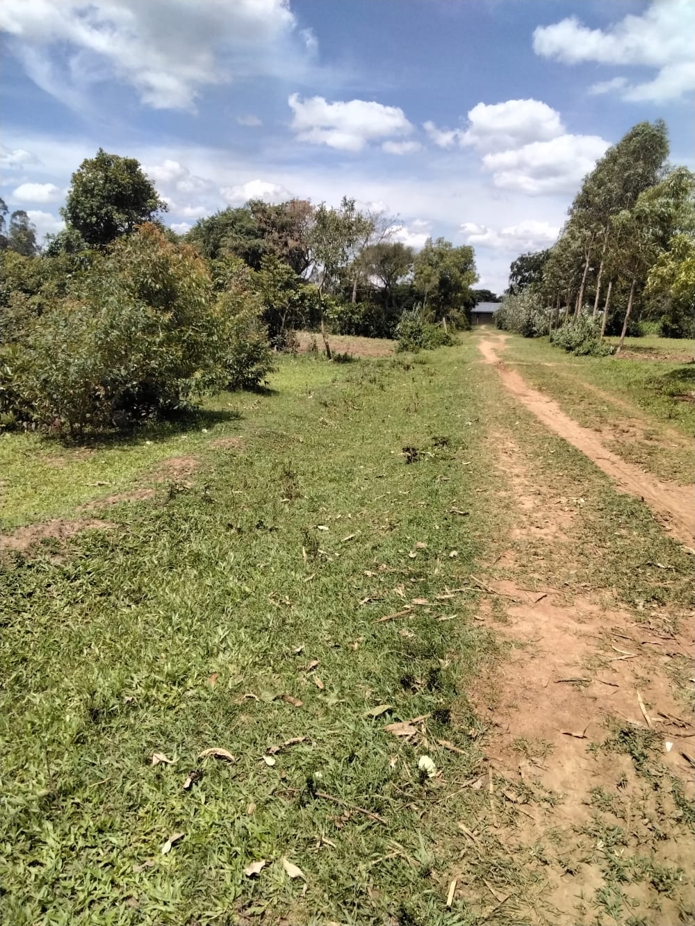 Land for sale in Bukembe, Bungoma County 