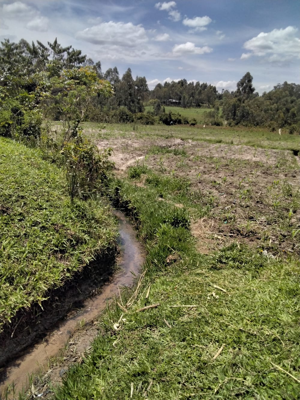 Land for sale in Bukembe, Bungoma County 