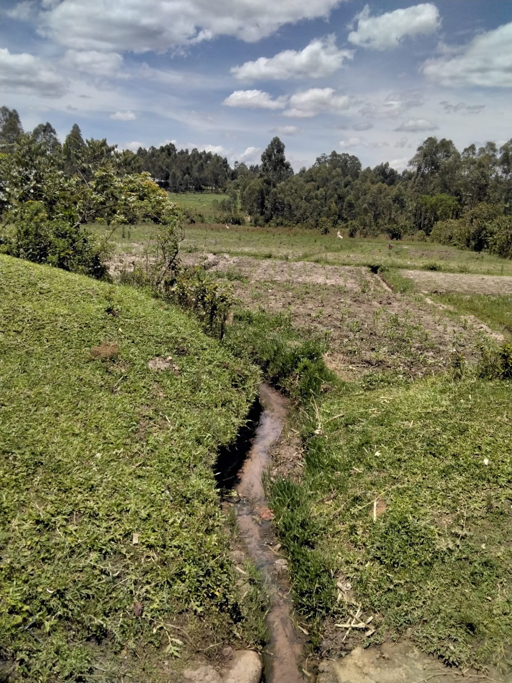 Land for sale in Matisi, Bungoma County 
