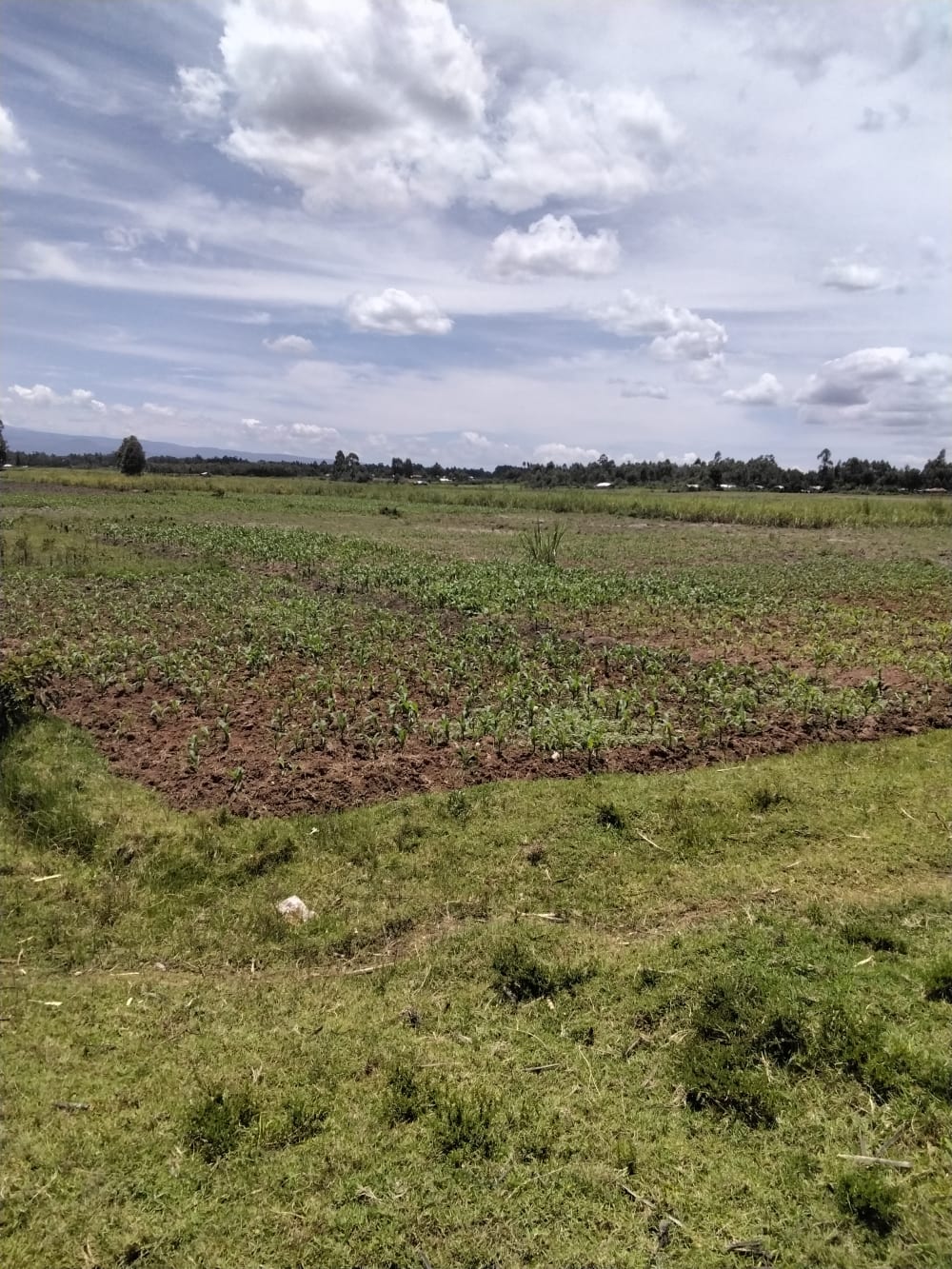 Land for sale in Matisi, Bungoma County 