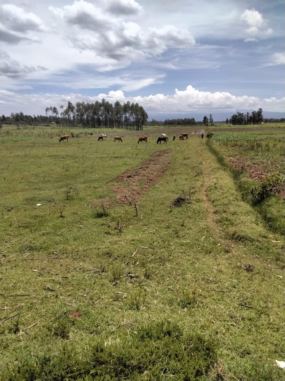 Land for sale in Matisi, Bungoma County 