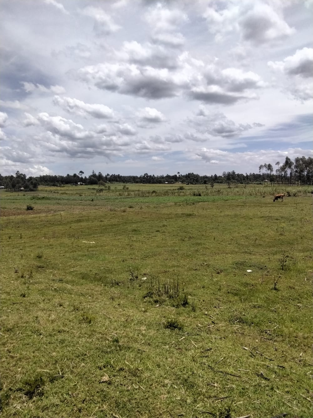 Land for sale in Matisi, Bungoma County 