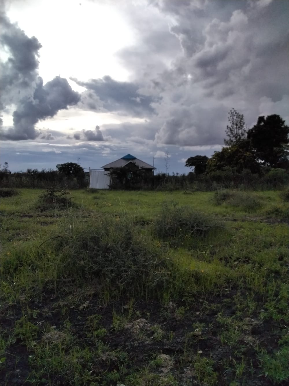 Land for sale in Juja Farm