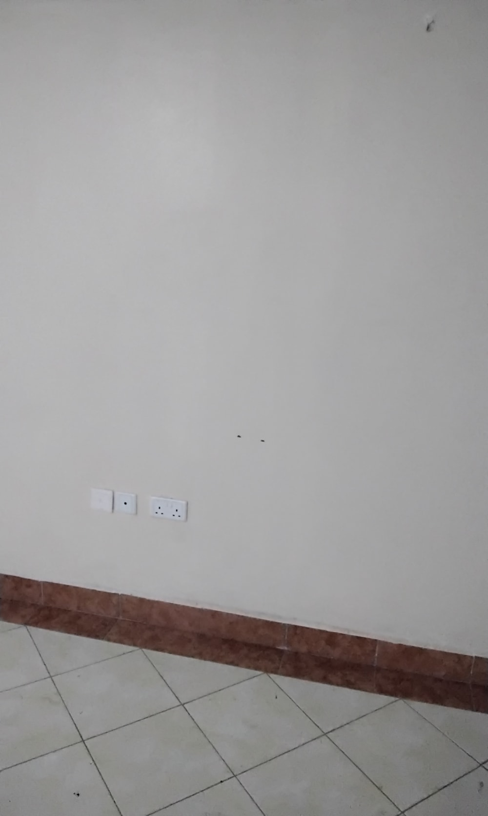 1 bedroom Apartment for rent in Marurui 