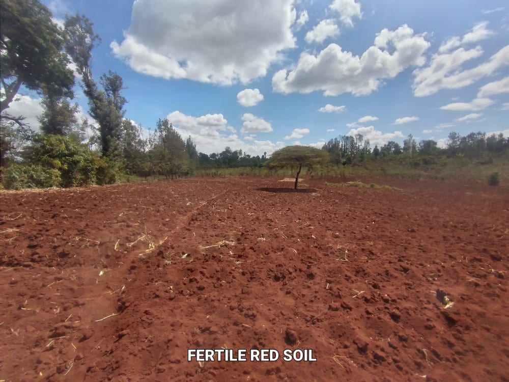 Land for sale in Kenol-Maragua highway