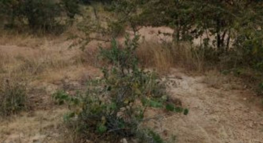 Land for sale in Kivandini Masinga bypass