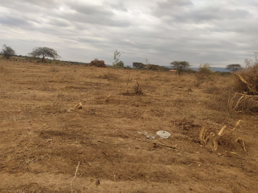 Land for sale in Kithimani town - 50km from Thika Town