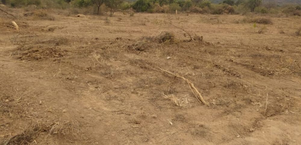 Land for sale in Kithimani town - 50km from Thika Town