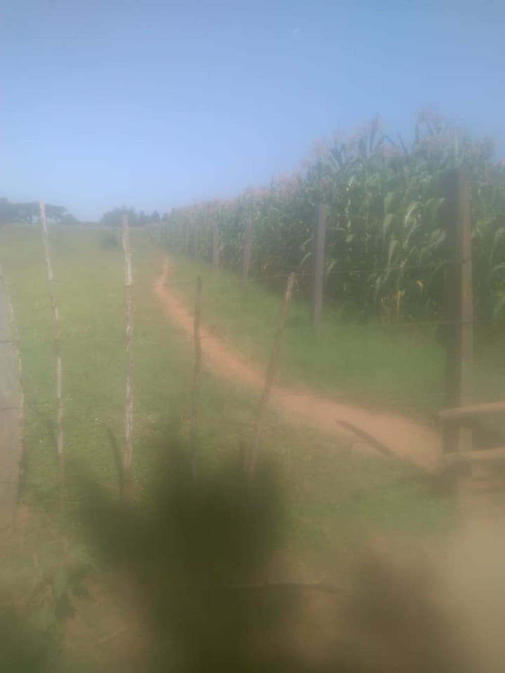 Land for sale in Toro farm, Kitale