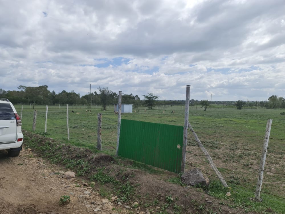 Land for sale in Grey Oak - Nanyuki