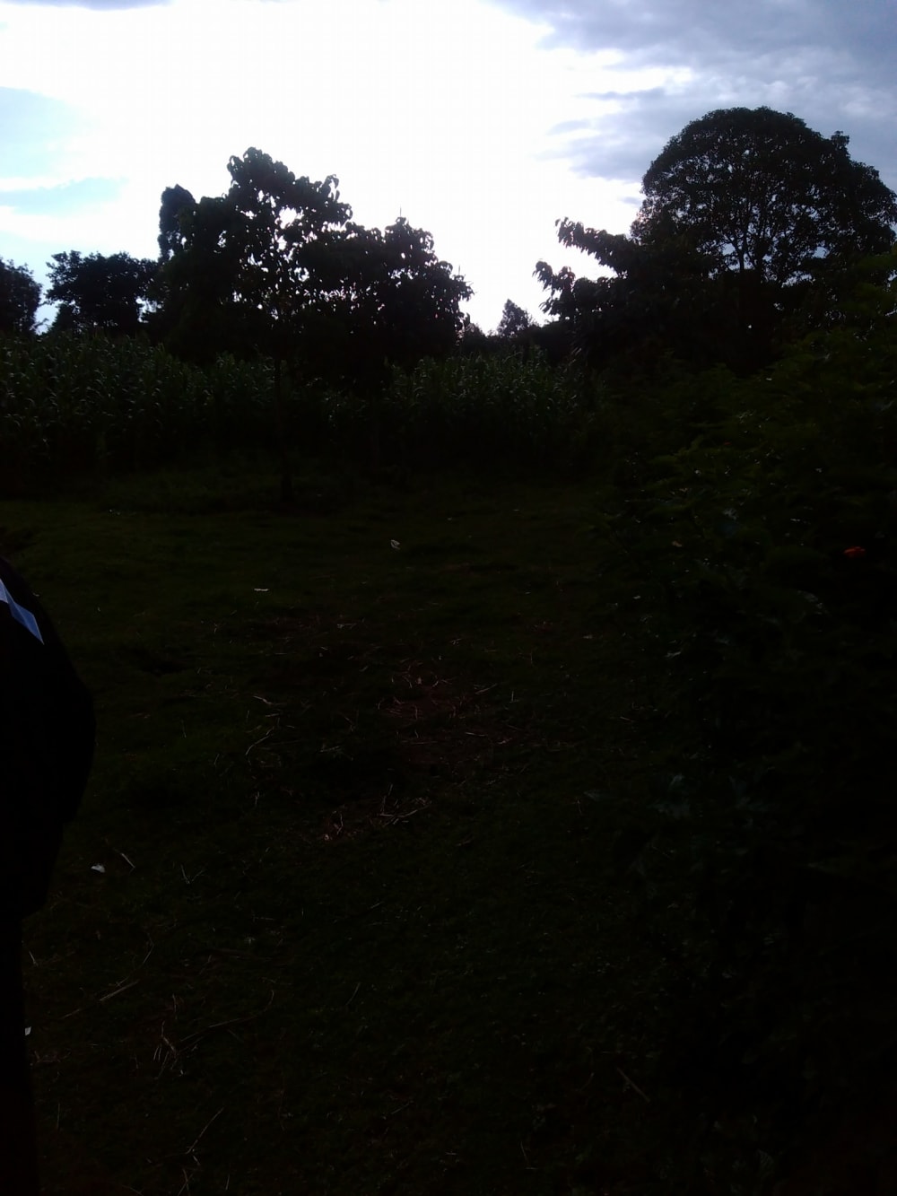 Land for sale in Kitale - Eldoret Road