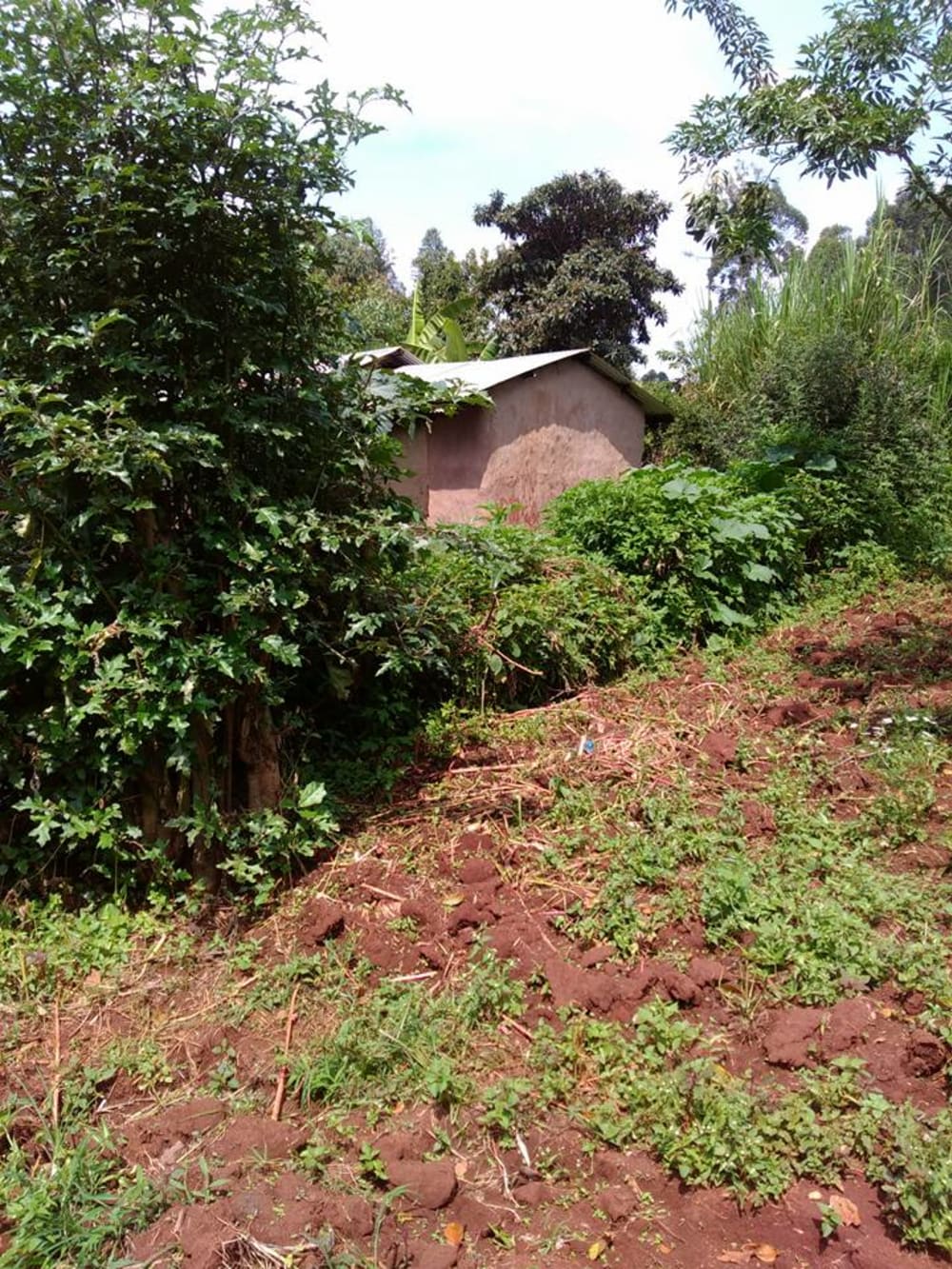 Land for sale in Kitale