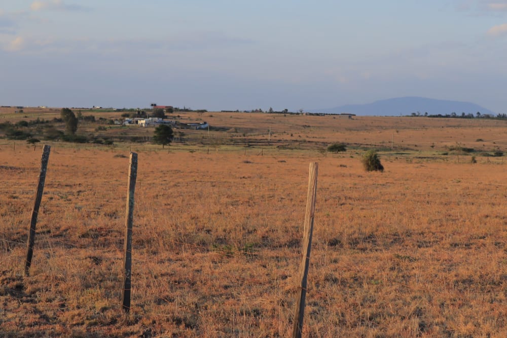 Land for sale in Joska